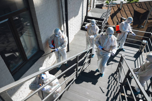 Professional Mold Removal in Bemiss, GA