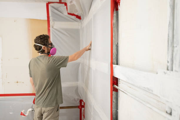 Best Mold Odor Removal Services  in Bemiss, GA