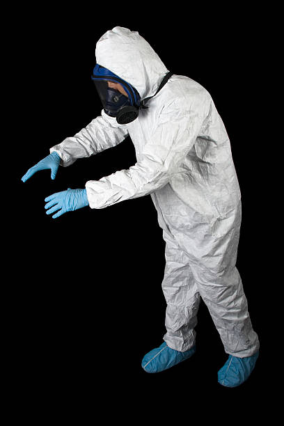 Best Asbestos and Lead Testing During Mold Inspection  in Bemiss, GA